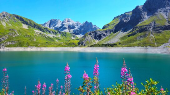wolfurt vorarlberg