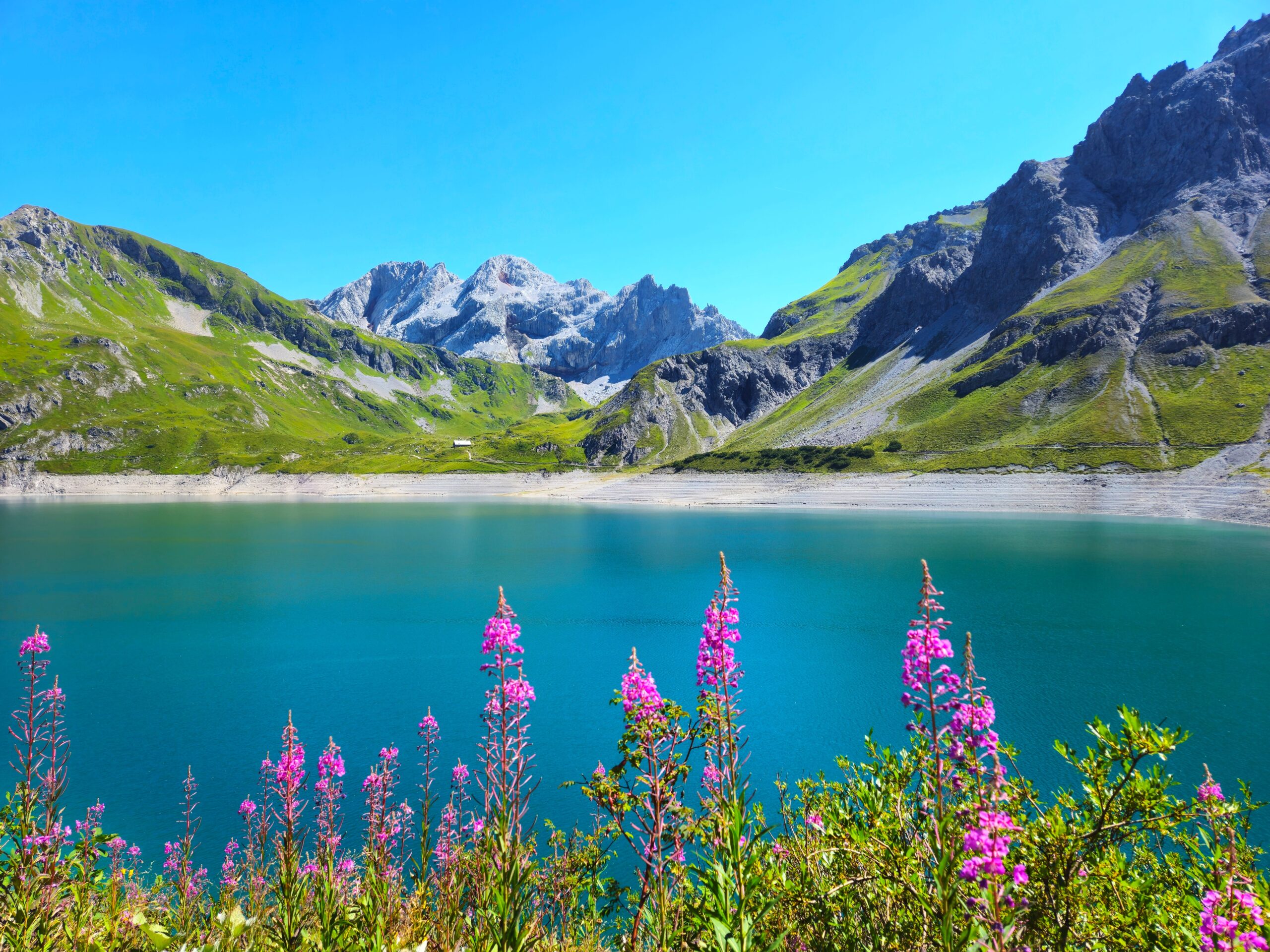 wolfurt vorarlberg